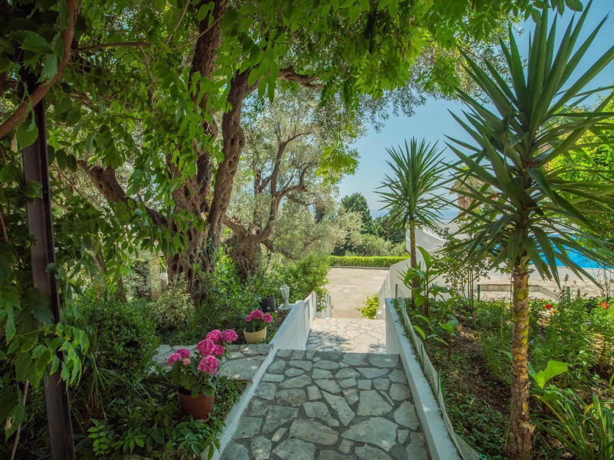 The Turtles Garden Villa Becici  Bagian luar foto