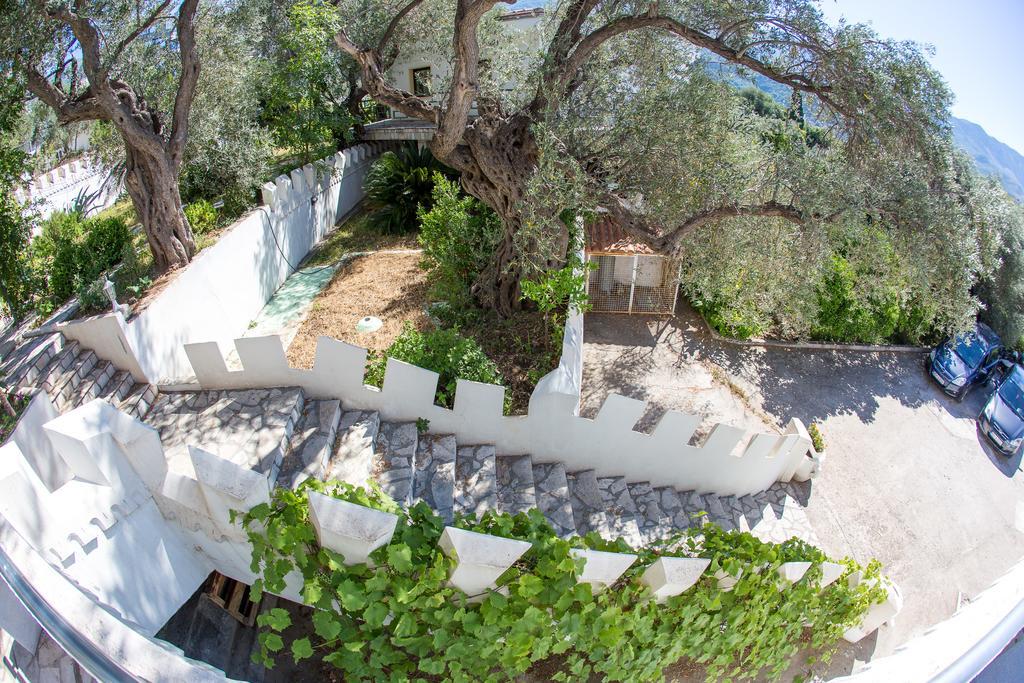 The Turtles Garden Villa Becici  Bagian luar foto